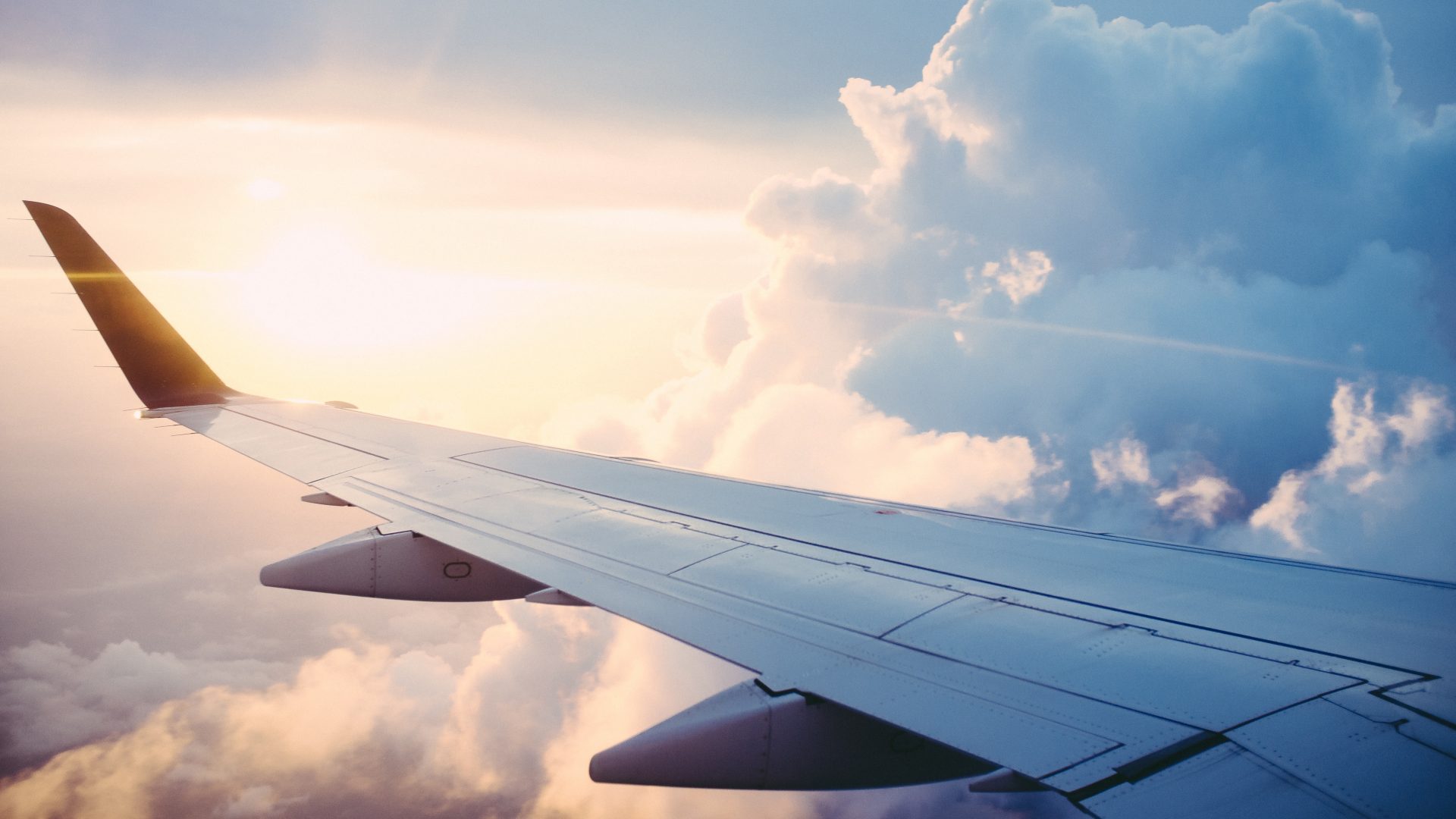 AFC FREIGHT SERVICE LLC